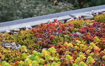 the cost of Marshmoor green roof installation