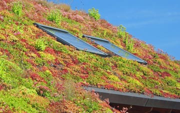 Marshmoor living roof systems